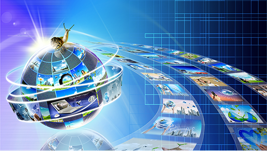 湖南省科学技术信息研究所 信息资源管理与软件开发的双轮驱动