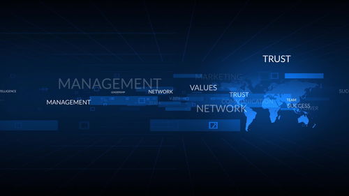 不符合重点软件企业标准，网络技术服务企业税收优惠力度下降的挑战与应对