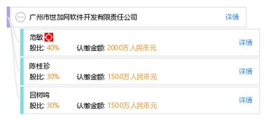 世加网络 数字时代的卓越技术伙伴